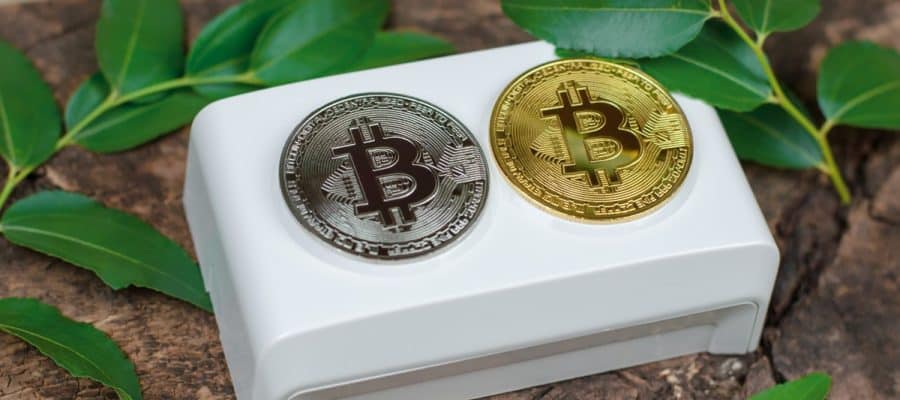 Bitcoins à côté des feuilles vertes