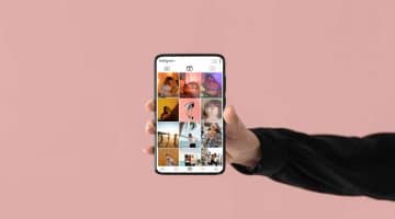 feed insta