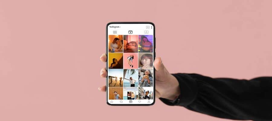 feed insta